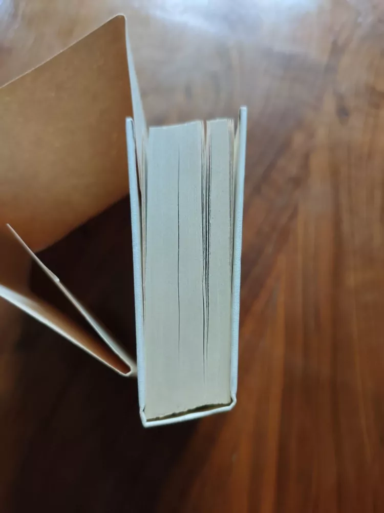 EMIL VACHEK - Bidýlko