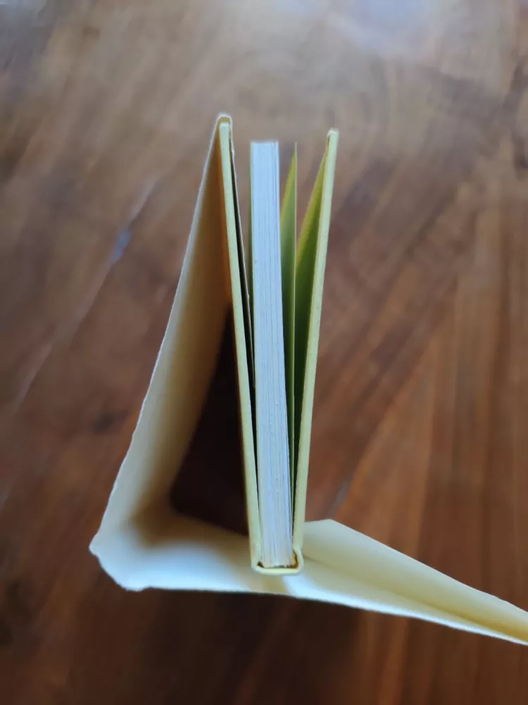 LEONARDO DA VINCI - Nápady