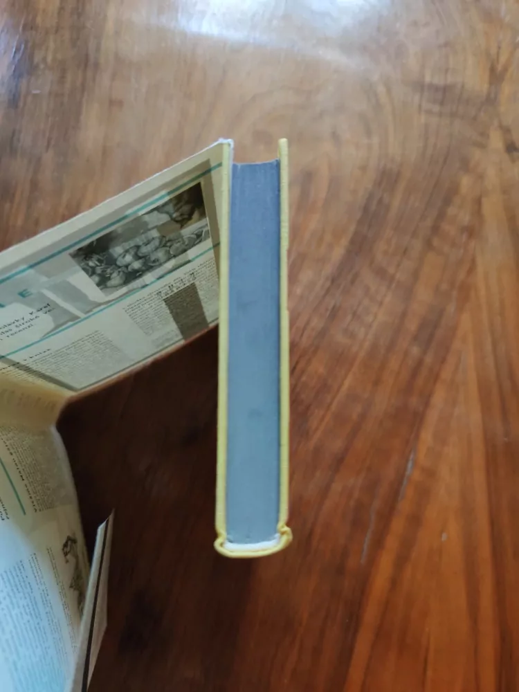 MAURICE DRUON - Burziáni