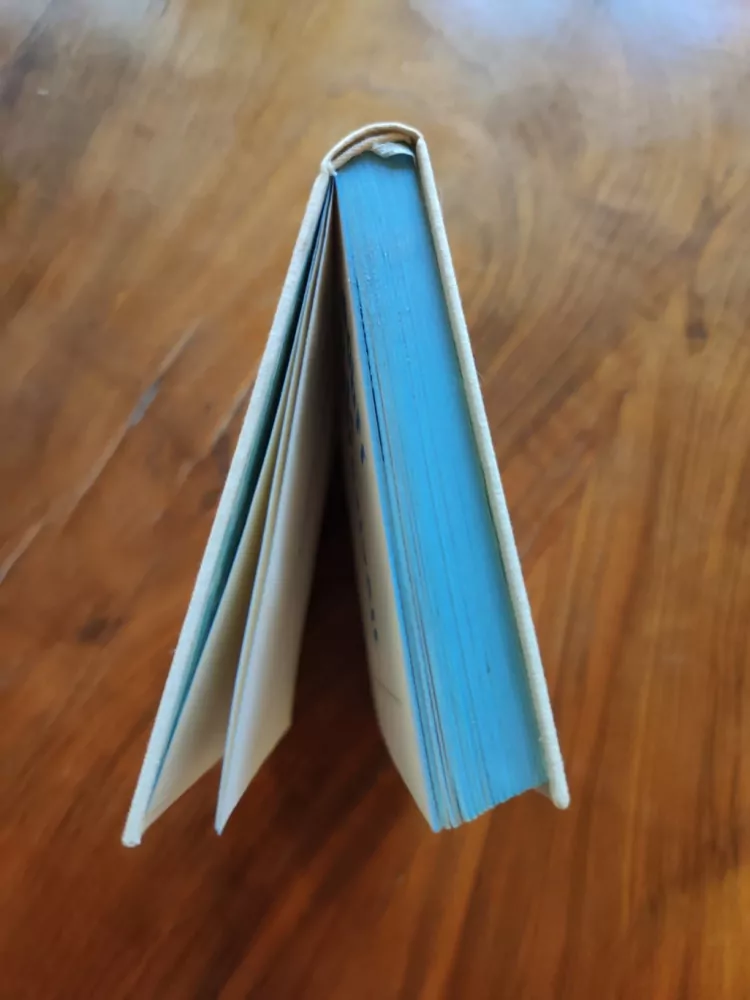 FRANTIŠEK RABENSEIFNER - Dobří lidé nerezivějí