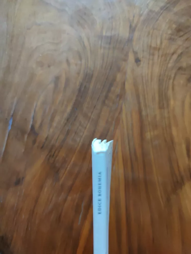 JAN KOPECKÝ - Píseň písní – Scénická skladba o 4 zpěvech