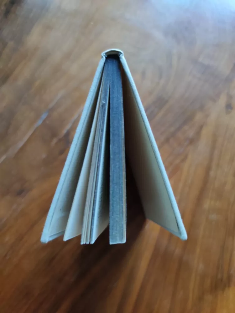 ERLE STANLEY GARDNER - Případ křivopřísežného papouška