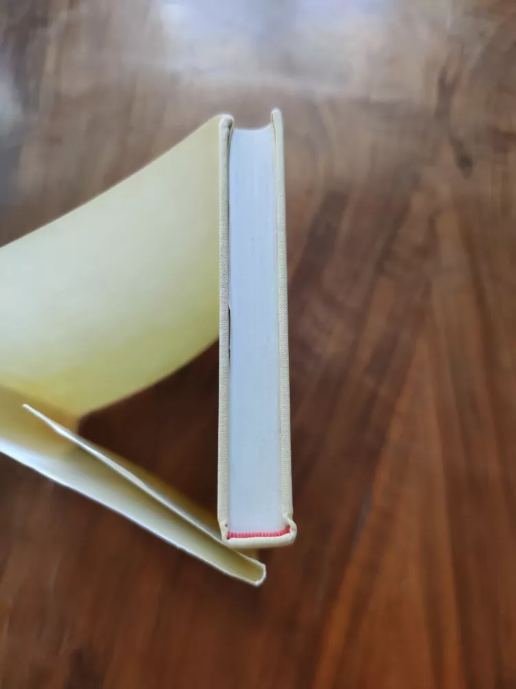 RAY RIGBY - Pahorek z písku