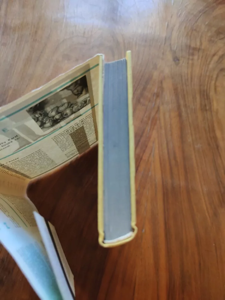 MAURICE DRUON - Burziáni