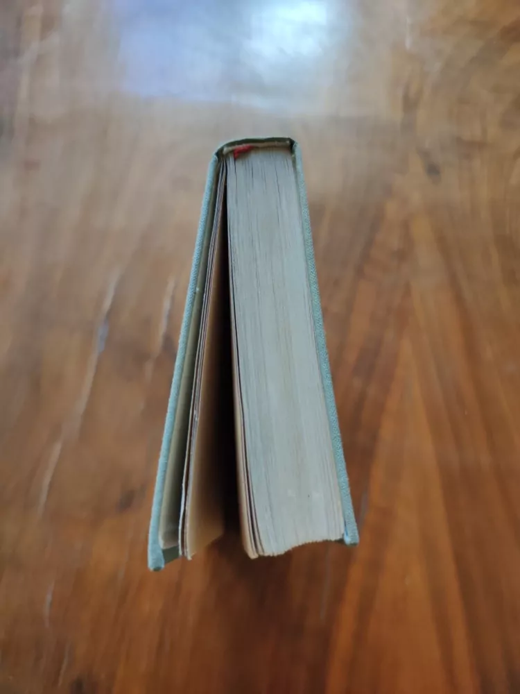 OLGA BOJAROVÁ, PAVEL BOJAR -  Milenci