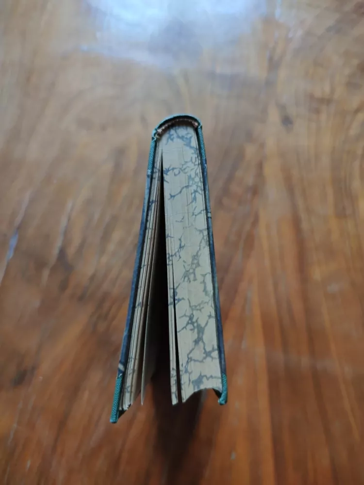 GABRIELE D'ANNUNZIO - Oheň