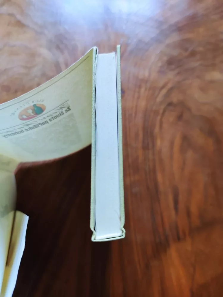 HENRI MURGER - Ze života pařížské bohémy