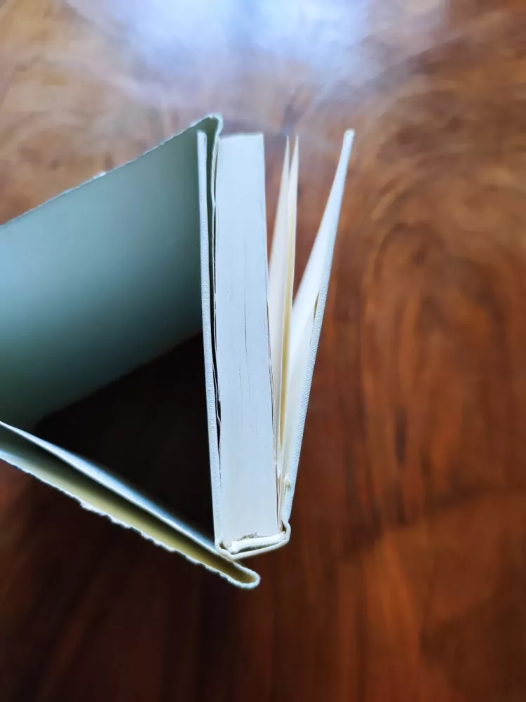 HERVÉ BAZIN - Rozvedená paní