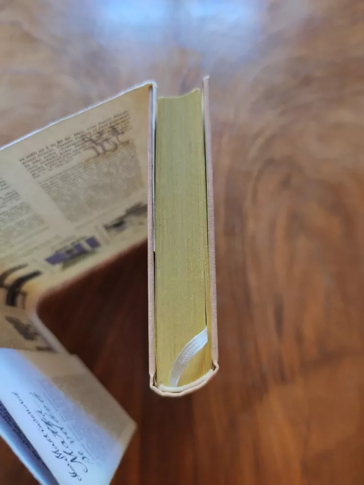 MOA MARTINSON - Matka se vdává