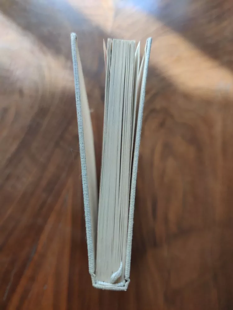 PAVOL ORSZÁGH - Hájnikova žena