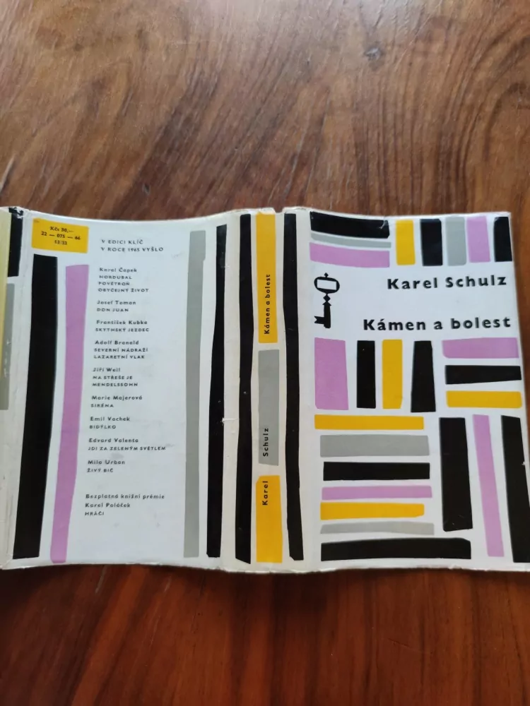 KAREL SCHULTZ - Kámen a bolest