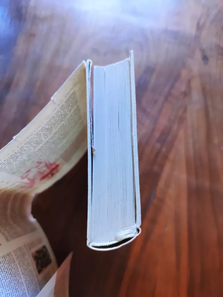 JORGE AMADO -  Mulatka Gabriela