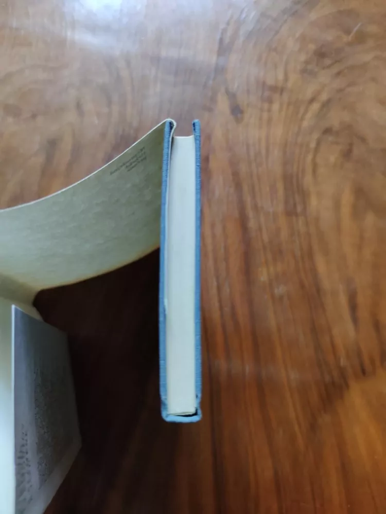 MICHAIL JURJEVIČ LERMONTOV - Z plamene a jasu