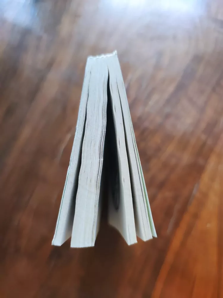 ALEXANDRE DUMAS - Tři mušketýři ještě po deseti letech aneb Vikomt Bragelonne - I. Díl