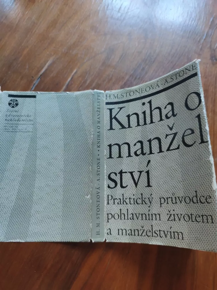 HANNAH MAYER STONE, ABRAHAM STONE - Kniha o manželství
