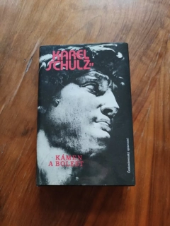 KAREL SCHULTZ - Kámen a bolest
