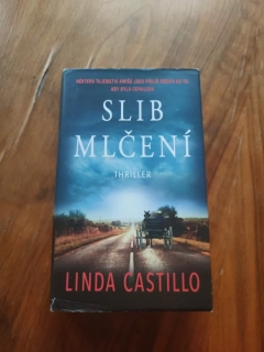 LINDA CASTILLO - Slib mlčení