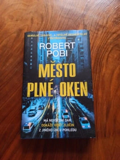 ROBERT POBI - Město plné oken