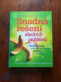 STEPHEN BREWER aj. - Snadná řešení všedních problémů