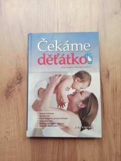 MARTIN GREGORA, MILOŠ VELEMÍNSKÝ ml. - Čekáme děťátko