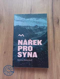 NICHOLAS WOLTERSTORFF - Nářek pro syna