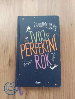CHARLOTTE LUCAS - Tvůj perfektní rok