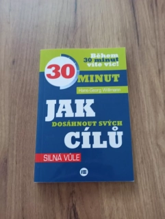 HANS-GEORG WILLMAN - Jak dosáhnout svých cílů – síla vůle