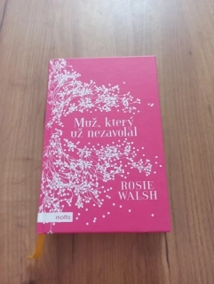 ROSIE WALSH - Muž, který už nezavolal