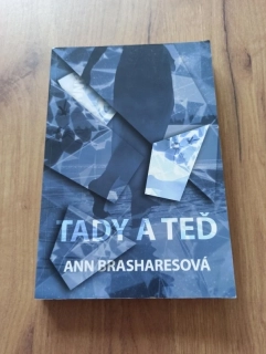 ANN BRASHARES - Tady a teď