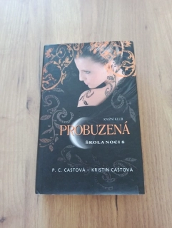 PHYLLIS CHRISTINE CAST, KRISTIN ČÁST - Škola noci 8. - Probuzená