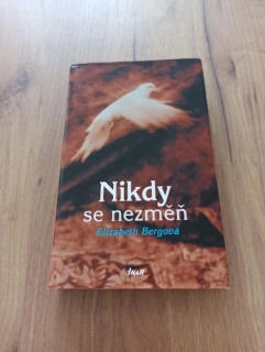 ELIZABETH BERG - Nikdy se nezměň