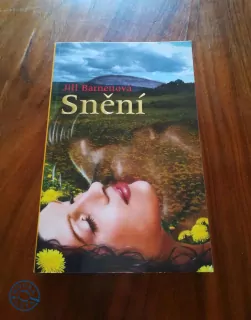 JILL BARNETT - Snění