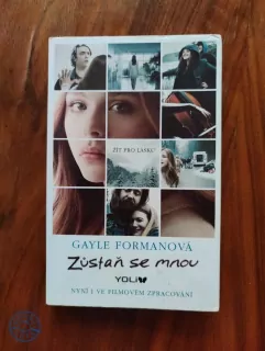 GAYLE FORMAN - Zůstaň se mnou