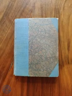JANE DE LA VAUDÈRE - Maharadžův miláček