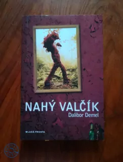 DALIBOR DEMEL - Nahý valčík