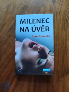 DANA HLAVATÁ - Milenec na úvěr