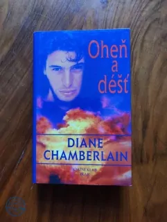 DIANE CHAMBERLAIN - Oheň a déšť