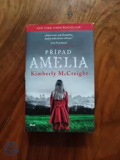 KIMBERLY McCREIGHT - Případ Amelia