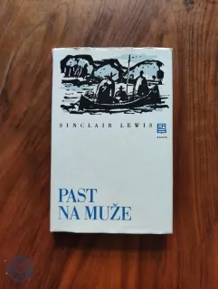 SINCLAIR LEWIS - Past na muže