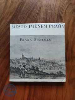 KAREL ŠIKTANC - Město jménem Praha