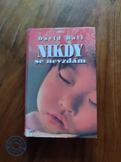 DAVID BALL - Nikdy se nevzdám