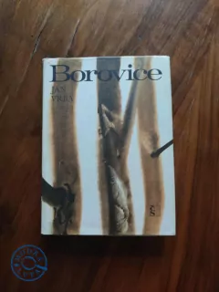 JAN VRBA - Borovice