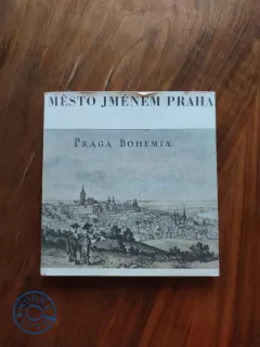 KAREL ŠIKTANC - Město jménem Praha