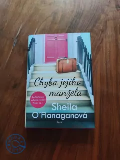 SHEILA O'FLANAGAN - Chyba jejího manžela