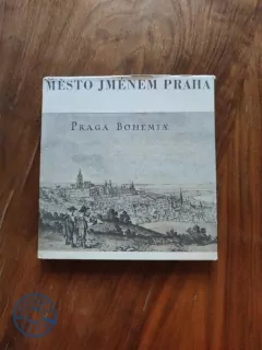 KAREL ŠIKTANC - Město jménem Praha