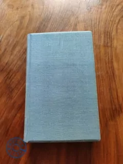 WILLIAM HERVEY ALLEN - Bronzový hoch 2