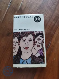 HANA BOŘKOVCOVÁ - Vzteklouni